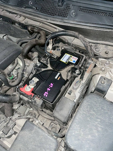 Photo from customer review